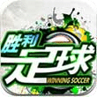8x8小皇冠2020